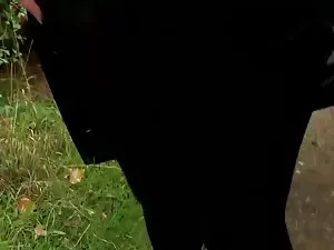 Bitch მოყვრული ლესბო ...